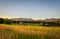 Summer sunset with an old barn in rural Montana