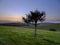 Summer sunset over the South Downs - high resolution stitched panorama of golden hour light falling on Butser Hill from above East