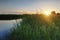 Summer sunset on the river. Beautiful nature. Green young grass. Calm water in the river. Bulrushes near the river and trees on