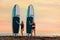 Summer surfing. Two beautiful young women posing with sup boards. In the background, the ocean and the sunset. Sport and