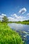 Summer sweet flag river landscape blue sky clouds countryside