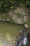 Summer swimming at the creek