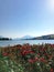 Summer Swiss lake view