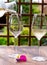 Summer tasting of cold white wine on sunny garden terrace with wooden pergola