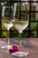 Summer tasting of cold white wine on sunny garden terrace with wooden pergola
