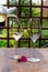 Summer tasting of cold white wine on sunny garden terrace with wooden pergola