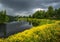 Summer thunderous landscape with a river, yellow flowers, forest and dark dramatic clouds
