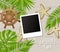 Summer time background with photo frames, tropical plants, leaves, starfish and wheel on wooden board . Vector illustration.