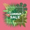 Summer time banner, flyer vector illustration. Tropical leaves. Amazing palms. Jungle leaves, split leaf, philodendron