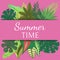 Summer time banner, poster vector illustration. Tropical leaves. amazing palms. Jungle leaves, split leaf, philodendron