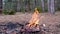 Summer time campfire video. Full HD slow motion video.