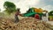 Summer time Industrious Indian farmer family doing work in a farmland with John tractor and fodder thresher