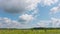 Summer time lapse of rural meadow Landscape