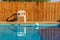Summer time relaxation space back yard hotel apartments place chair near swimming pool and ball float on water surface, wooden