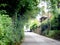 Summer traditional street in the english village with houses and greenery