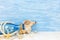 Summer travel background with seashells, blue glass bottle and m