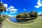 Summer tree, pond and white cloud