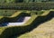 Summer trimmed boxwood in park hillside on a green grass lawn