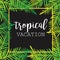 Summer tropical background of palm leaves. tropics, tropical, palm trees, tropical palm leaves.