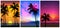 Summer tropical beach backgrounds set with palms, sky sunrise and sunset. Summer party placard poster flyer invitation