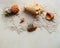 Summer tropical concept on a beige background. Background with seashells different shape and type in the sand. Pineapple. Sailing