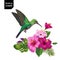 Summer Tropical Design with Hummingbird and Exotic Flowers. Floral Background with Tropic Bird, HibisÑus and Palm Leaves