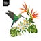 Summer Tropical Design with Hummingbird and Exotic Flowers. Floral Background with Tropic Bird, Plumeria and Palm Leaves