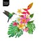 Summer Tropical Design with Hummingbird and Flowers. Floral Background with Tropic Bird and Monstera Palm Leaves