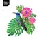 Summer Tropical Design with Hummingbird and Flowers. Floral Background with Tropic Bird, Protea and Monstera Palm Leaves