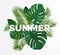 Summer tropical design with various green leaves.