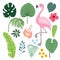 Summer tropical graphic elements with flamingo bird. Jungle floral illustrations, palm and monstera leaves and hibiscus