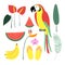 Summer tropical graphic elements. Parrot bird. Jungle floral illustrations, palm leaves, orchid, flower, watermelon,banana fruit