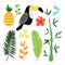 Summer tropical graphic elements. Toucan bird. Jungle floral illustrations, palm leaves, pineapple and hibiscus flowers