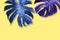 Summer tropical leaves on yellow background with copy space minimal style