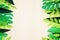 Summer Tropical Paper Cut leaves, Frame. Exotic summertime. Space for text. Beautiful dark green jungle floral background. Monster