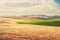 Summer Tuscan landscape, green field and blue sky