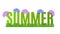 Summer Typographic Banner with flowers for design