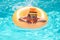 Summer vacation on pool water. Child in swimming pool swim on inflatable ring. Water float.