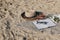 Summer vacation still life. Picnic on golden Mediterranean.beach sand. Straw hat, glasses of red wine and olive branches