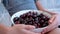 Summer, vacations, healthy food concept. Boy holding plate with sweet fresh cherries swinging in hammock. 4k video