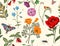 Summer vector seamless pattern. Botanical wallpaper. Plants, insects, flowers in vintage style. Butterflies, beetles and