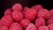 Summer vegetarian healthy food raspberries for jam. Healthy food organic nutrition.