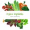 Summer veggies banner, hand drawn vector watercolor illustration