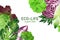 Summer veggies banner, hand drawn vector watercolor illustration