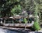 Summer verandas of cafes in `Kislovodsk National Park`, Russia, Europe.