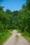 Summer view of a beautiful taiga road stretching into the distance.