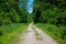 Summer view of a beautiful taiga road stretching into the distance.