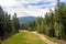 Summer view of forest path on slope of Szrenica Mountain