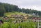 Summer view of mountain ski resort with house cottages in Bukovel, Ukraine