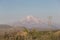 Summer view over the Mount Erciyes in Kayseri, with wild flowers. Asphodeline globifera Cappadocia, Turkey. Landscape